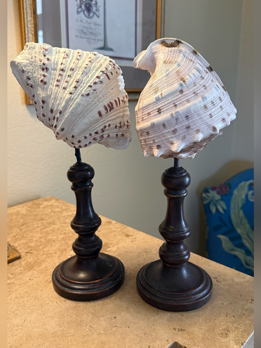 Vintage Seashell Sculpture on Pedestal Stand - Set of 2